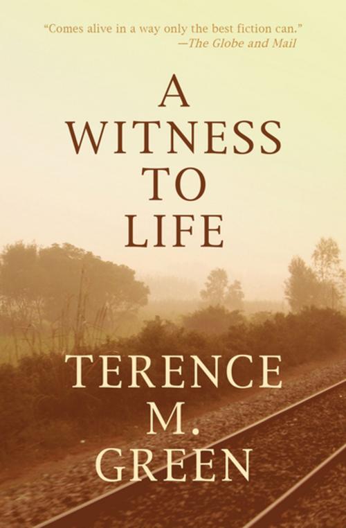 Cover of the book A Witness to Life by Terence M. Green, Open Road Media
