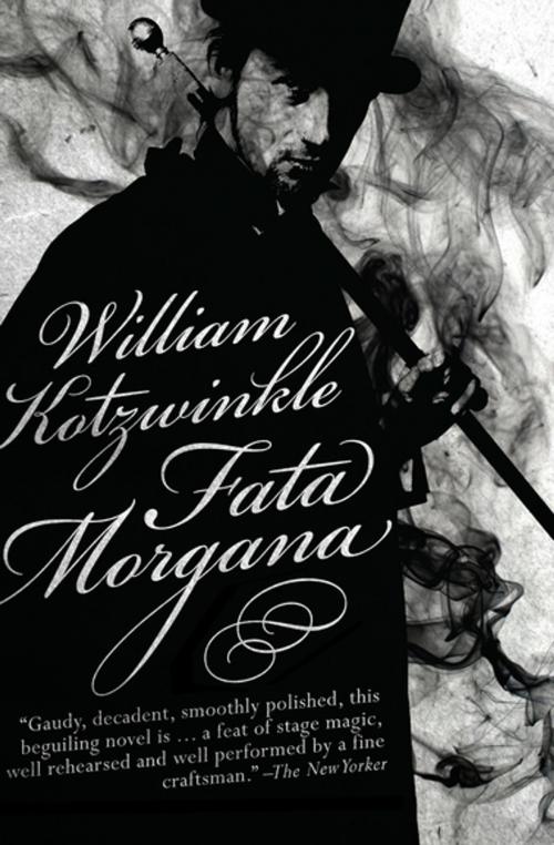 Cover of the book Fata Morgana by William Kotzwinkle, Open Road Media