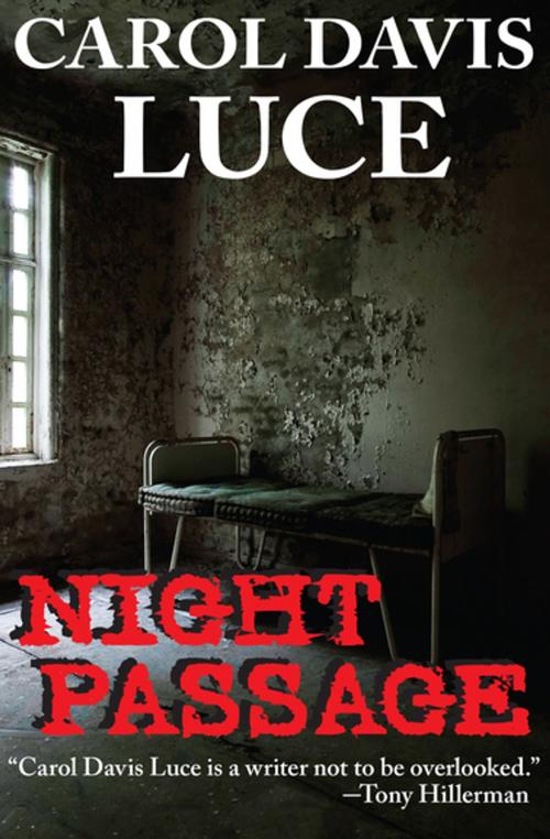 Cover of the book Night Passage by Carol Davis Luce, Open Road Media