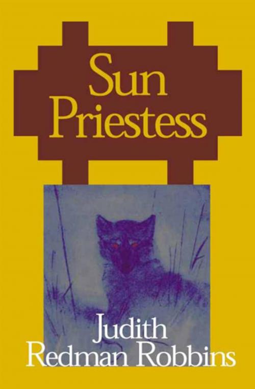 Cover of the book Sun Priestess by Judith Redman Robbins, Open Road Media