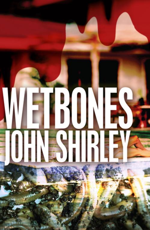 Cover of the book Wetbones by John Shirley, Open Road Media