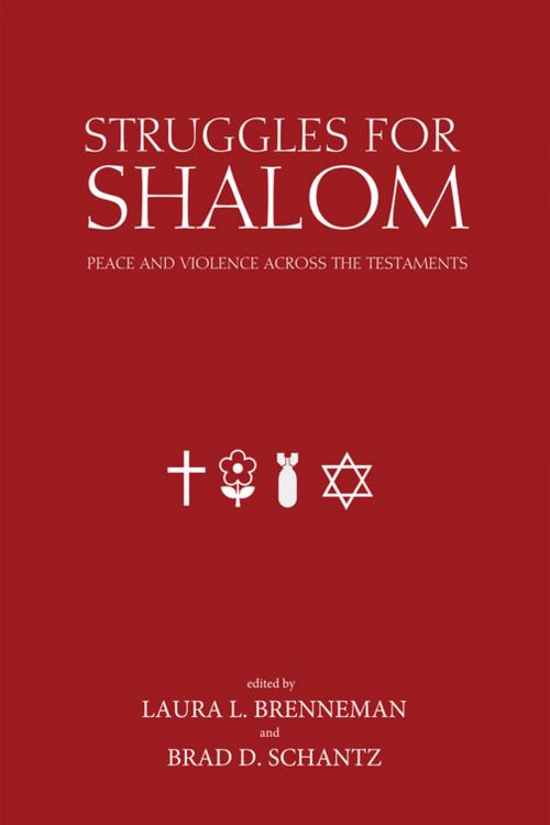 Cover of the book Struggles for Shalom by , Wipf and Stock Publishers