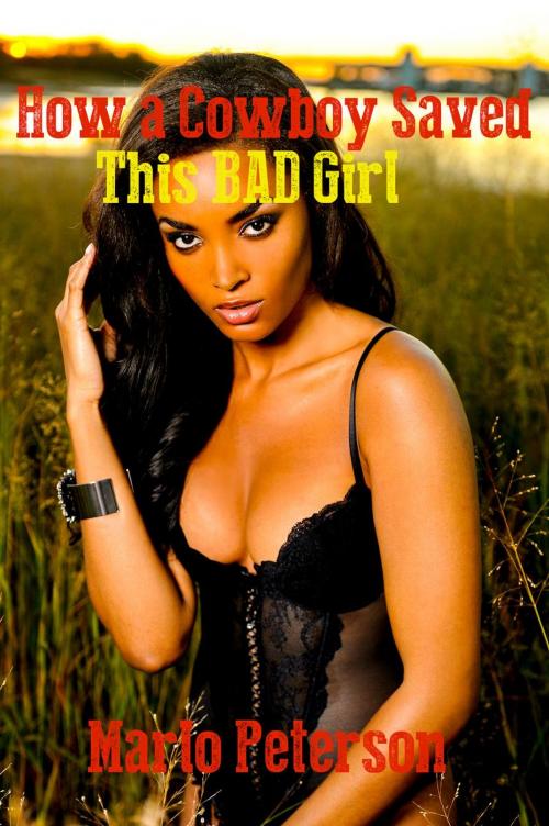 Cover of the book How A Cowboy Saved This Bad Girl 2 by Marlo Peterson, Marlo Peterson