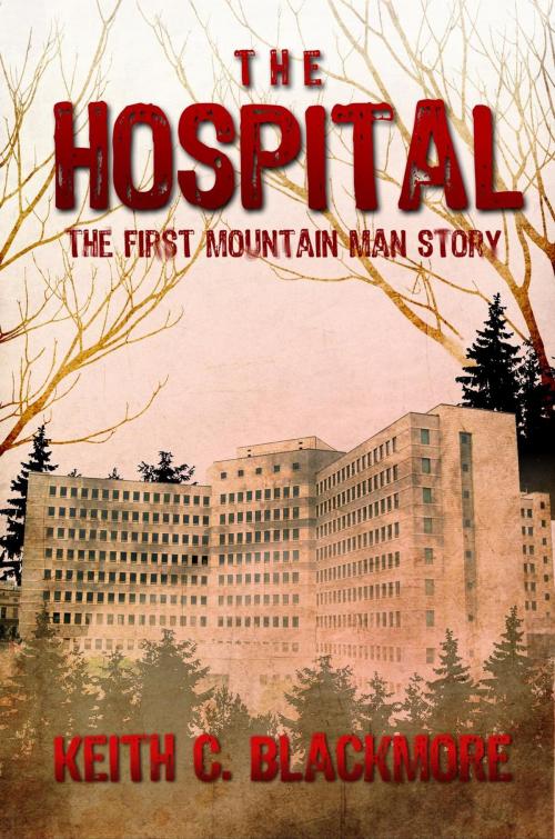 Cover of the book The Hospital by Keith C Blackmore, Keith C Blackmore