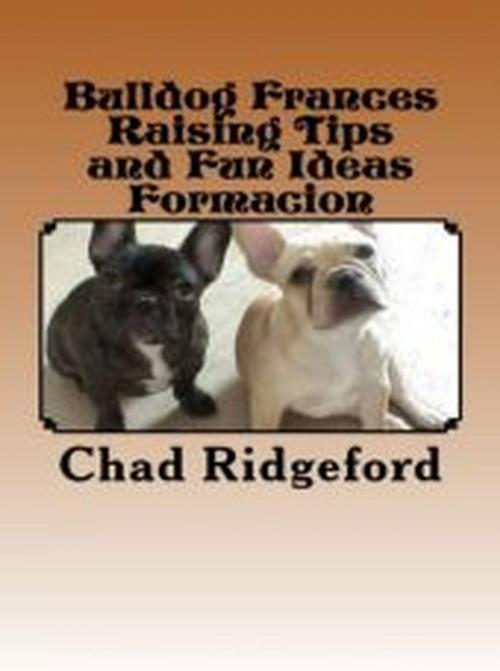 Cover of the book Bulldog Frances Raising Tips and Fun Ideas Formacion by Chad Ridgeford, Vince Stead