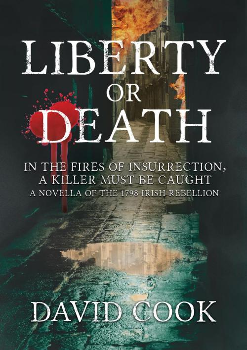 Cover of the book Liberty or Death by David Cook, David Cook