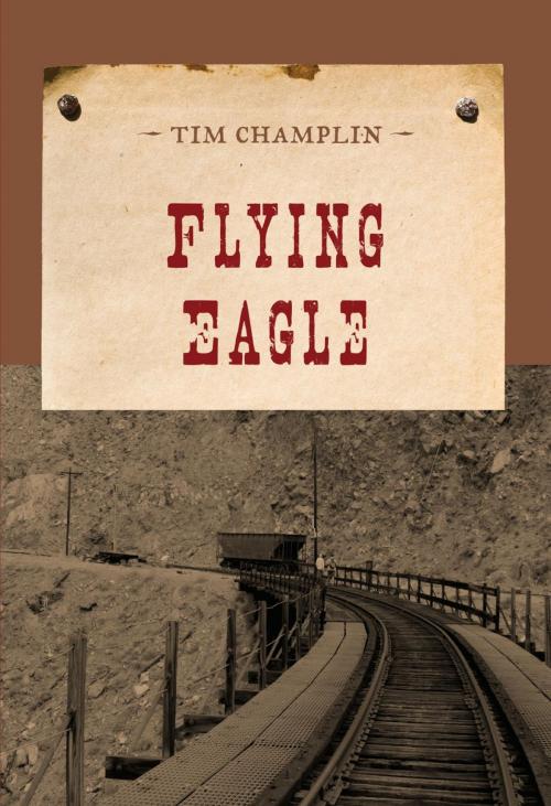 Cover of the book Flying Eagle by Tim Champlin, M. Evans & Company