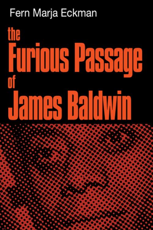 Cover of the book The Furious Passage of James Baldwin by Fern Marja Eckman, M. Evans & Company