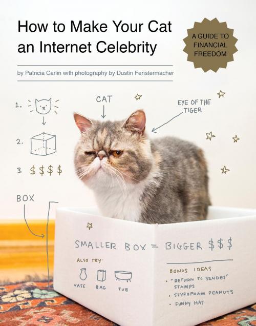 Cover of the book How to Make Your Cat an Internet Celebrity by Patricia Carlin, Quirk Books