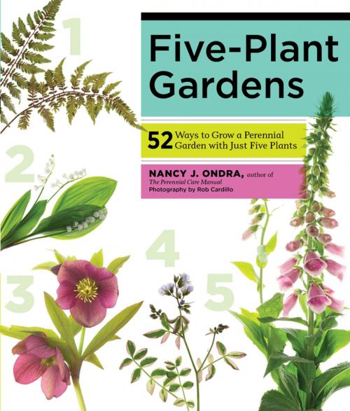 Cover of the book Five-Plant Gardens by Nancy J. Ondra, Storey Publishing, LLC