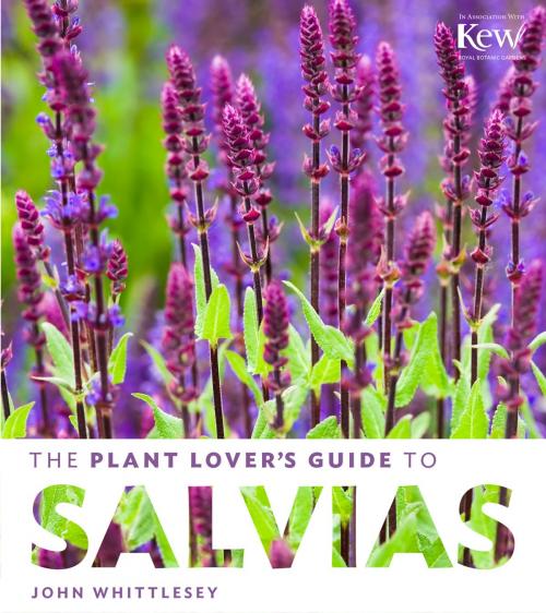Cover of the book The Plant Lover's Guide to Salvias by John Whittlesey, Timber Press