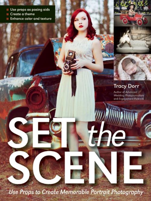 Cover of the book Set the Scene by Tracy Dorr, Amherst Media
