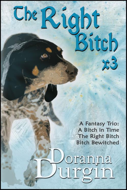 Cover of the book The Right Bitch Trio by Doranna Durgin, Blue Hound Visions