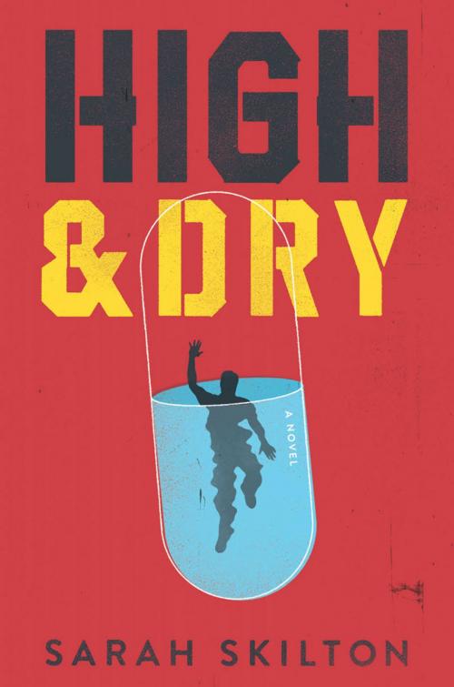 Cover of the book High and Dry by Sarah Skilton, ABRAMS
