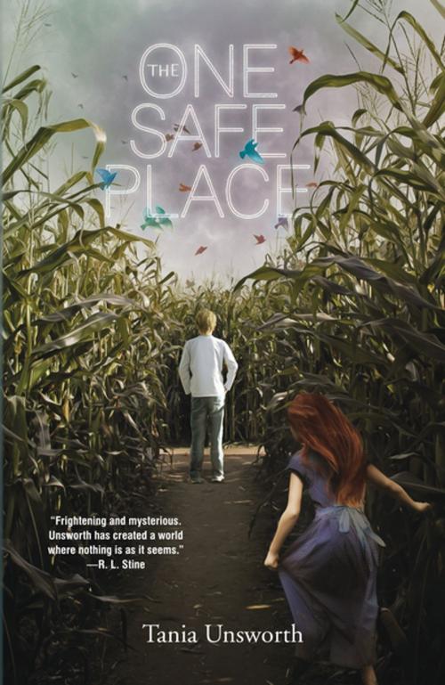 Cover of the book The One Safe Place by Tania Unsworth, Algonquin Books