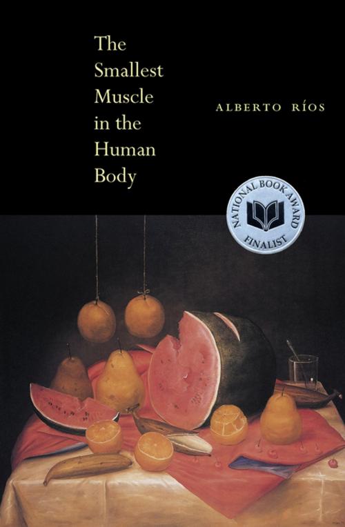 Cover of the book The Smallest Muscle in the Human Body by Alberto Ríos, Copper Canyon Press
