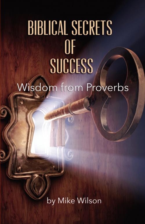 Cover of the book Biblical Secrets of Success by Mike Wilson, FastPencil, Inc.