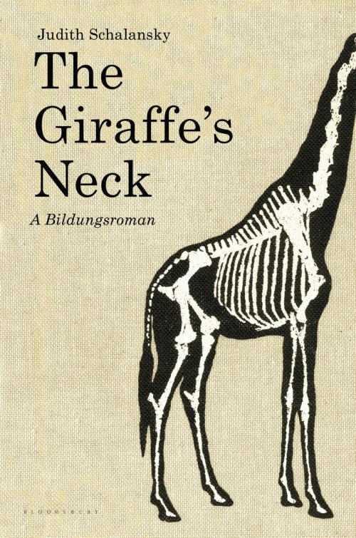 Cover of the book The Giraffe's Neck by Judith Schalansky, Bloomsbury Publishing