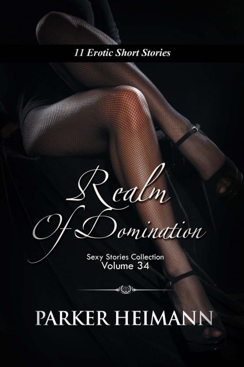 Cover of the book Realm of Domination by Parker Heimann, TLM Media LLC