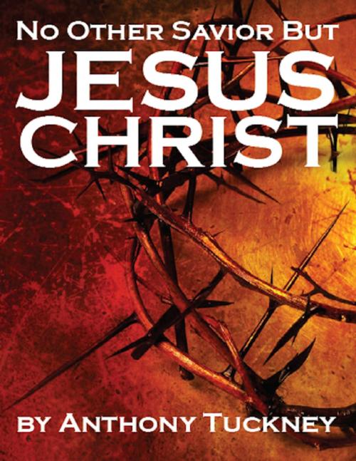 Cover of the book No Other Savior But Jesus Christ by Anthony Tuckney, Puritan Publications