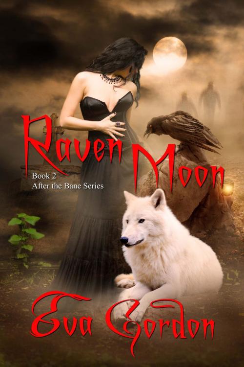 Cover of the book Raven Moon by Eva Gordon, The Wild Rose Press, Inc.