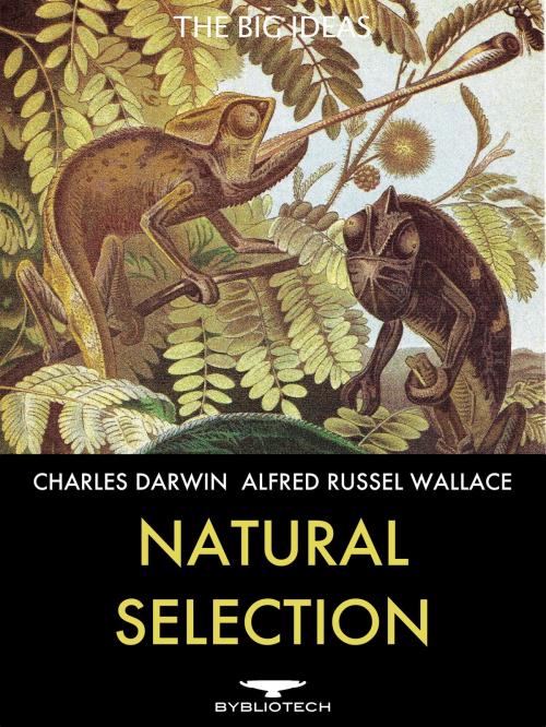 Cover of the book Natural Selection by Charles Darwin, Alfred Russel Wallace, Bybliotech