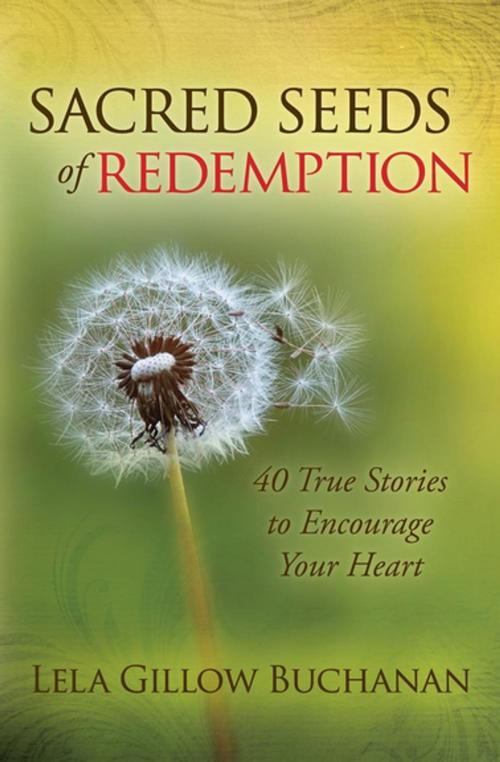 Cover of the book Sacred Seeds of Redemption by Lela Gillow Buchanan, Morgan James Publishing