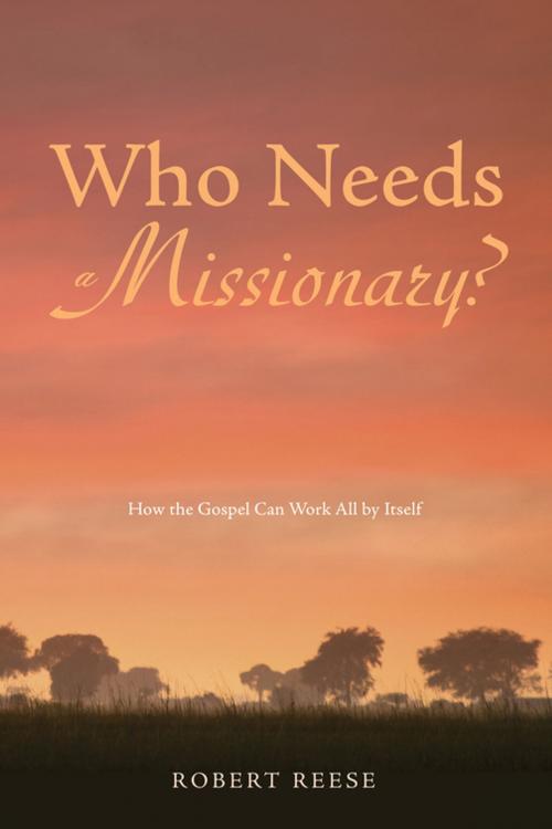 Cover of the book Who Needs a Missionary? by Robert Reese, Wipf and Stock Publishers