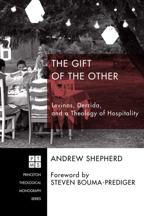 Cover of the book The Gift of the Other by Andrew Shepherd, Wipf and Stock Publishers