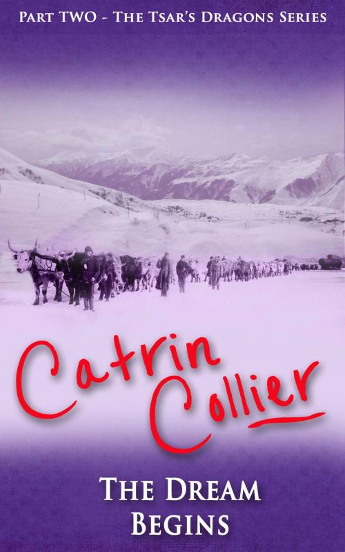 Cover of the book The Dream Begins by Catrin Collier, Accent Press