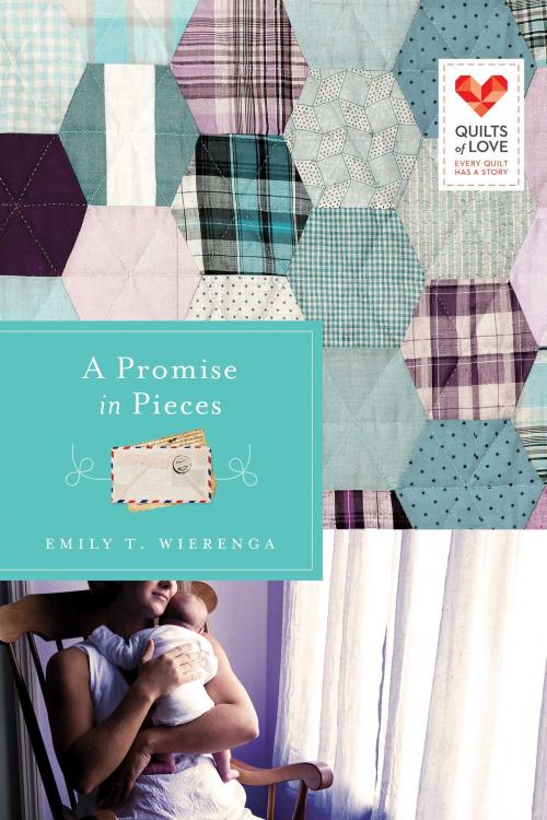 Cover of the book A Promise in Pieces by Emily T. Wierenga, Abingdon Fiction