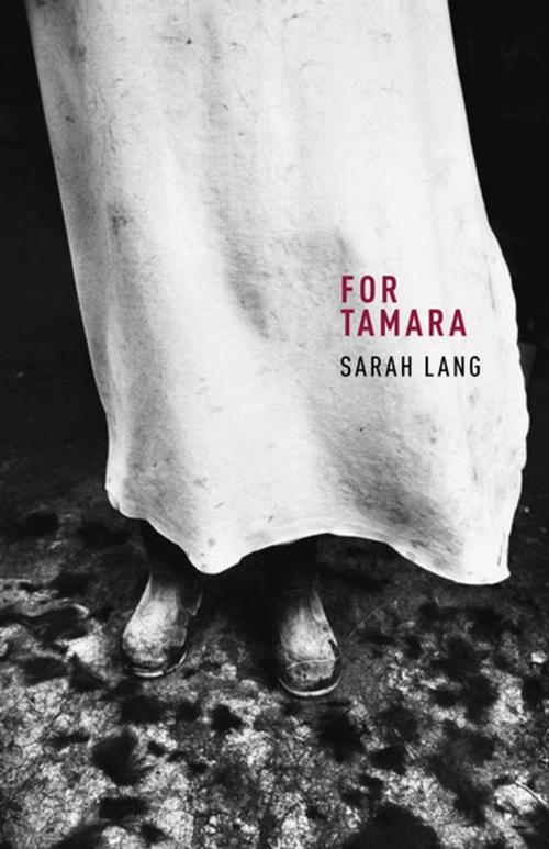 Cover of the book For Tamara by Sarah Lang, House of Anansi Press Inc