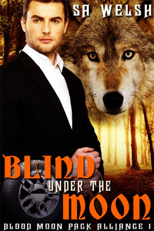 Cover of the book Blind Under the Moon by SA Welsh, eXtasy Books Inc