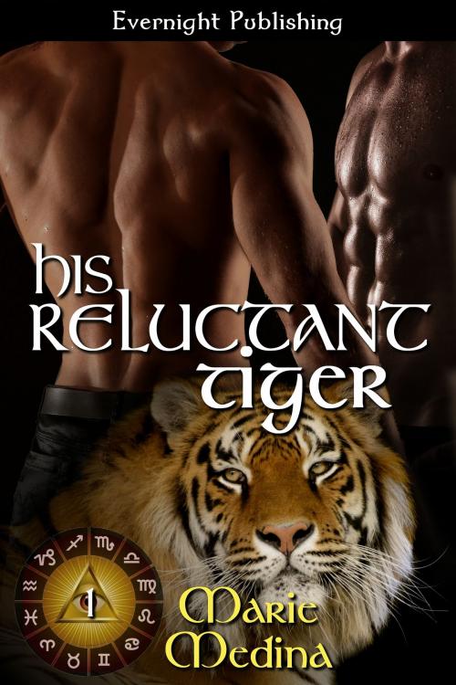 Cover of the book His Reluctant Tiger by Marie Medina, Evernight Publishing