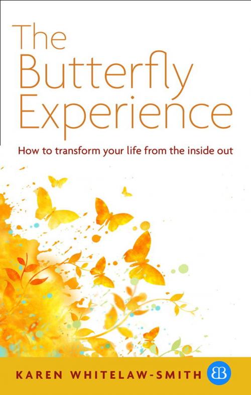 Cover of the book The Butterfly Experience by Karen Whitelaw-Smith, Watkins Media
