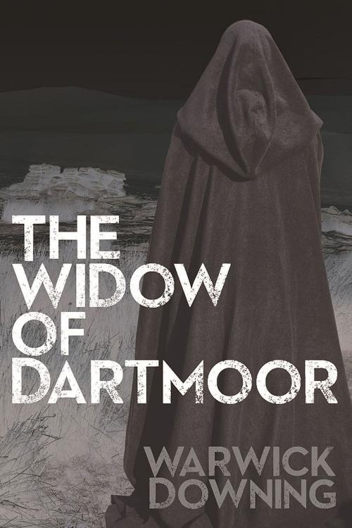 Cover of the book The Widow of Dartmoor by Warwick Downing, Andrews UK