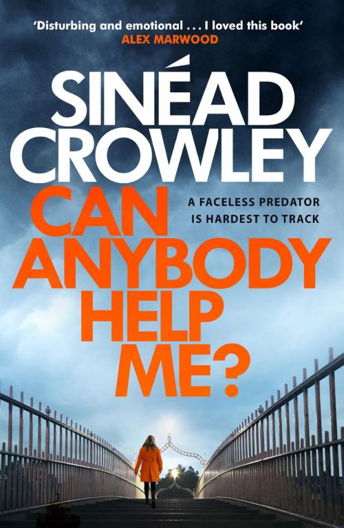 Cover of the book Can Anybody Help Me? by Sinéad Crowley, Quercus Publishing