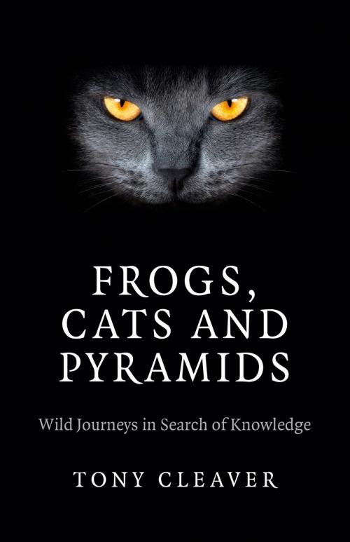 Cover of the book Frogs, Cats and Pyramids by Tony Cleaver, John Hunt Publishing