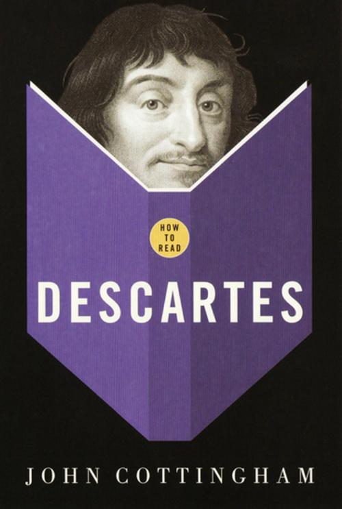 Cover of the book How To Read Descartes by John G. Cottingham, Granta Publications