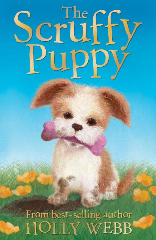 Cover of the book The Scruffy Puppy by Holly Webb, Stripes Publishing