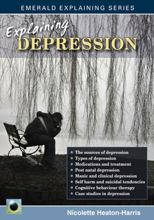 Cover of the book Explaining Depression by Nicolette Heaton-Harris, Straightforward Publishing