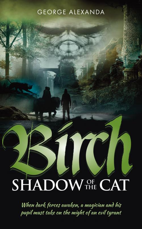Cover of the book Birch Shadow of the Cat by George Alexanda, Memoirs Publishing