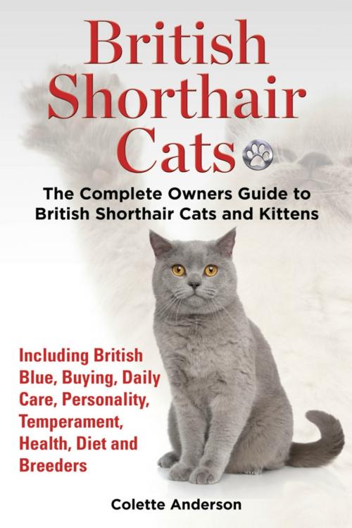 Cover of the book British Shorthair Cats, The Complete Owners Guide to British Shorthair Cats and Kittens Including British Blue, Buying, Daily Care, Personality, Temperament, Health, Diet and Breeders by Colette Anderson, Evolution Knowledge Limited