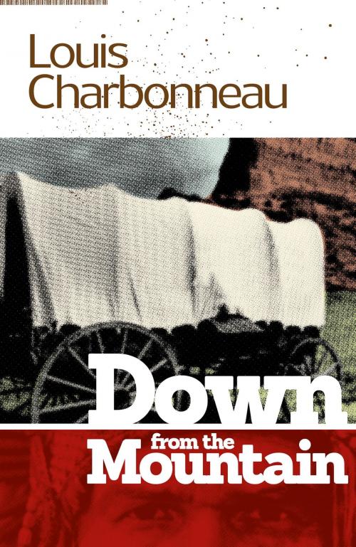 Cover of the book Down From the Mountain by Louis Charbonneau, JABberwocky Literary Agency, Inc.