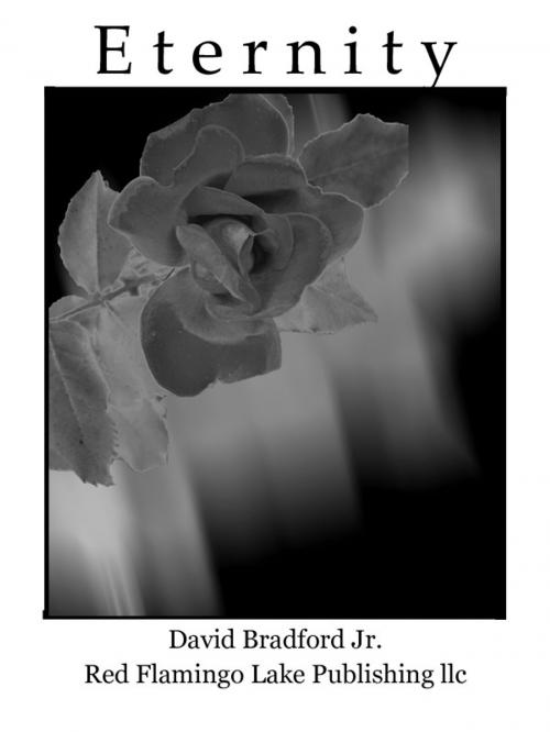 Cover of the book Eternity by David Bradford Jr., Red Flamingo Lake Publishing llc