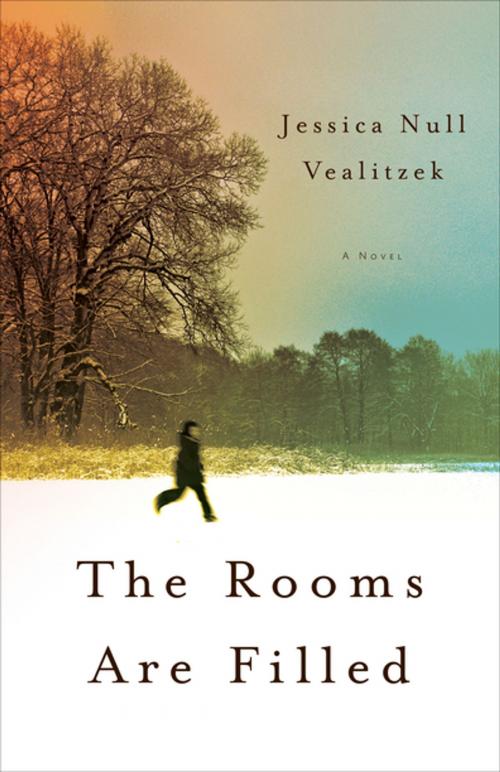 Cover of the book The Rooms Are Filled by Jessica Null Vealitzek, She Writes Press