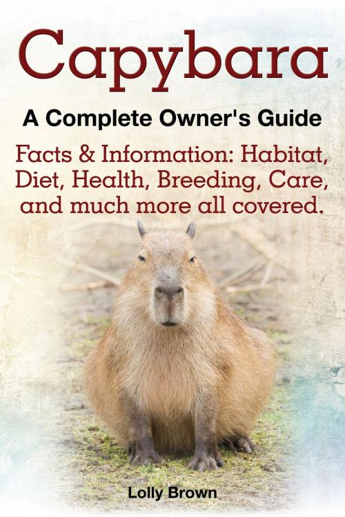 Cover of the book Capybara by Lolly Brown, NRB Publishing