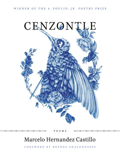 Cover of the book Cenzontle by Marcelo Hernandez Castillo, BOA Editions Ltd.