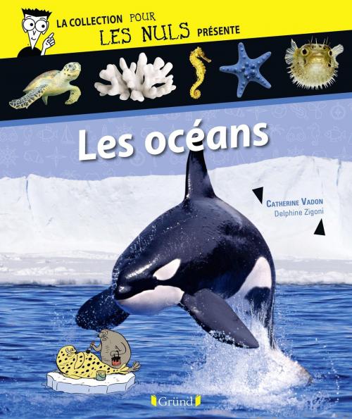 Cover of the book Pour Les Nuls présente Les océans by Catherine VADON, EDI8