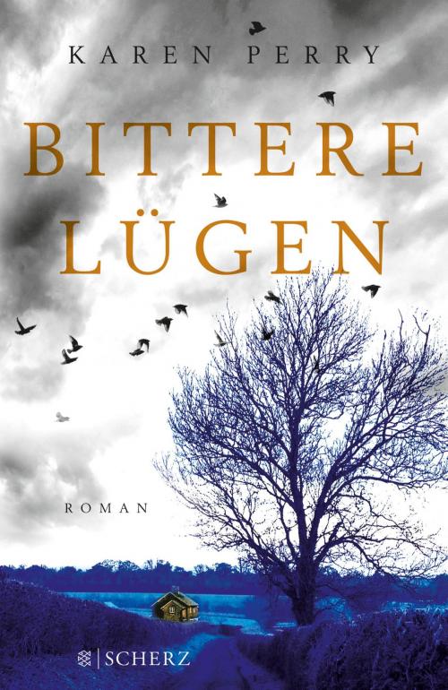 Cover of the book Bittere Lügen by Karen Perry, FISCHER E-Books
